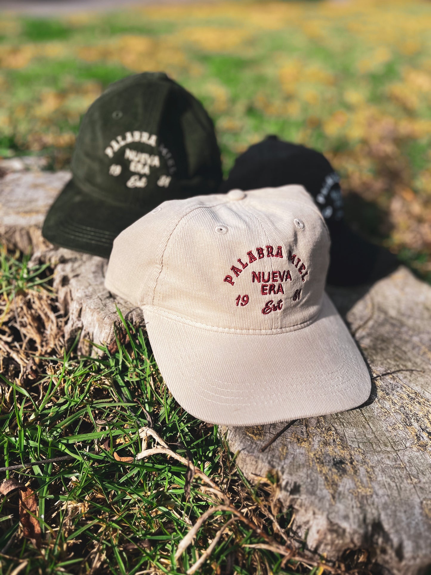 Corduroy Palabra Miel Hat